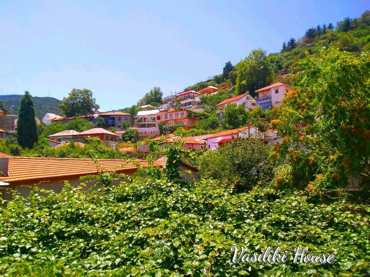 Vasiliki Guest House Pedulas Zewnętrze zdjęcie